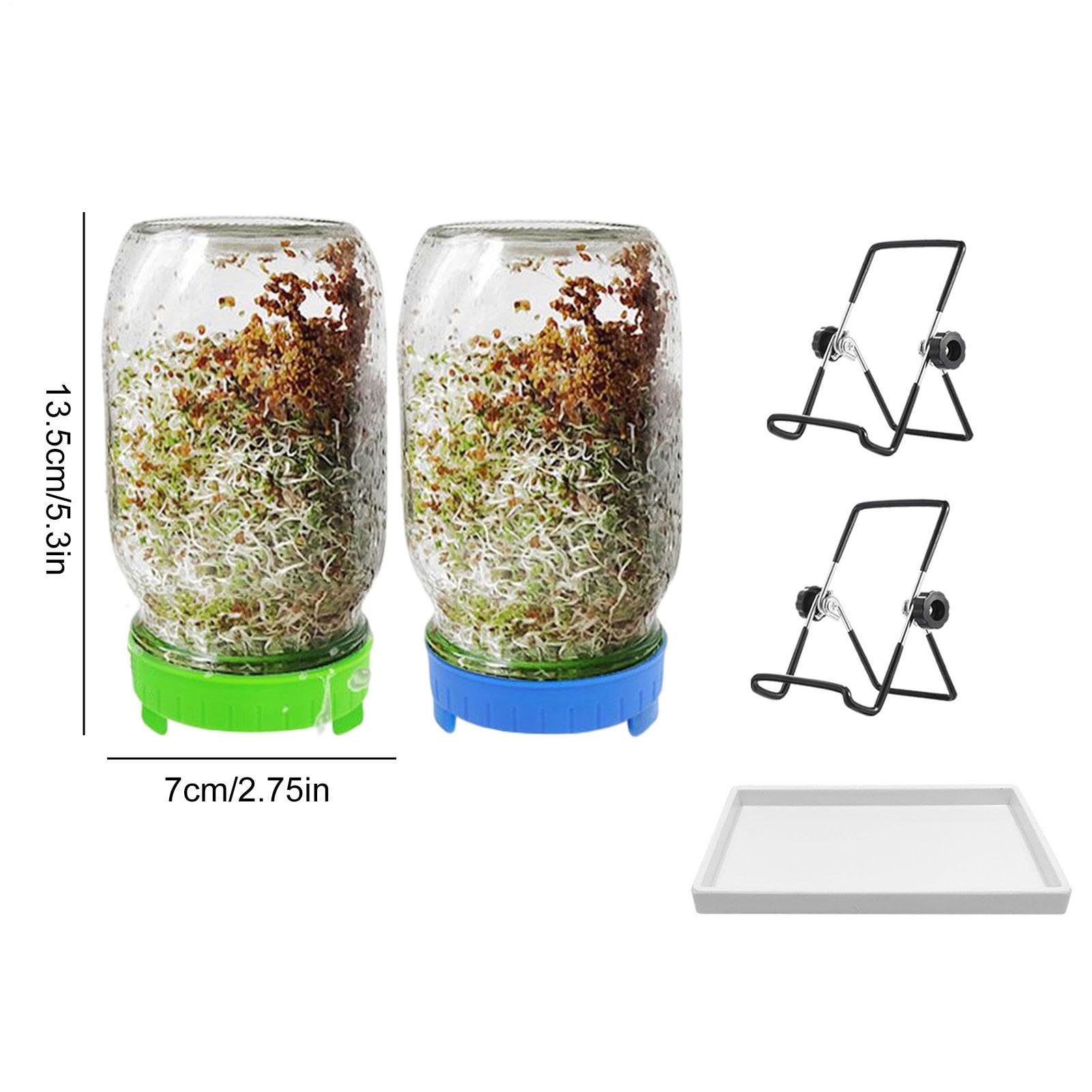 Générique Kit De Pots De Germination – Ensemble De Germoirs De en Acier | Inoxydable | Quart À Large Bouche, Couvercles Et Supports De Germination De Cuisine, Ensemble De Germoirs De, Pot FR