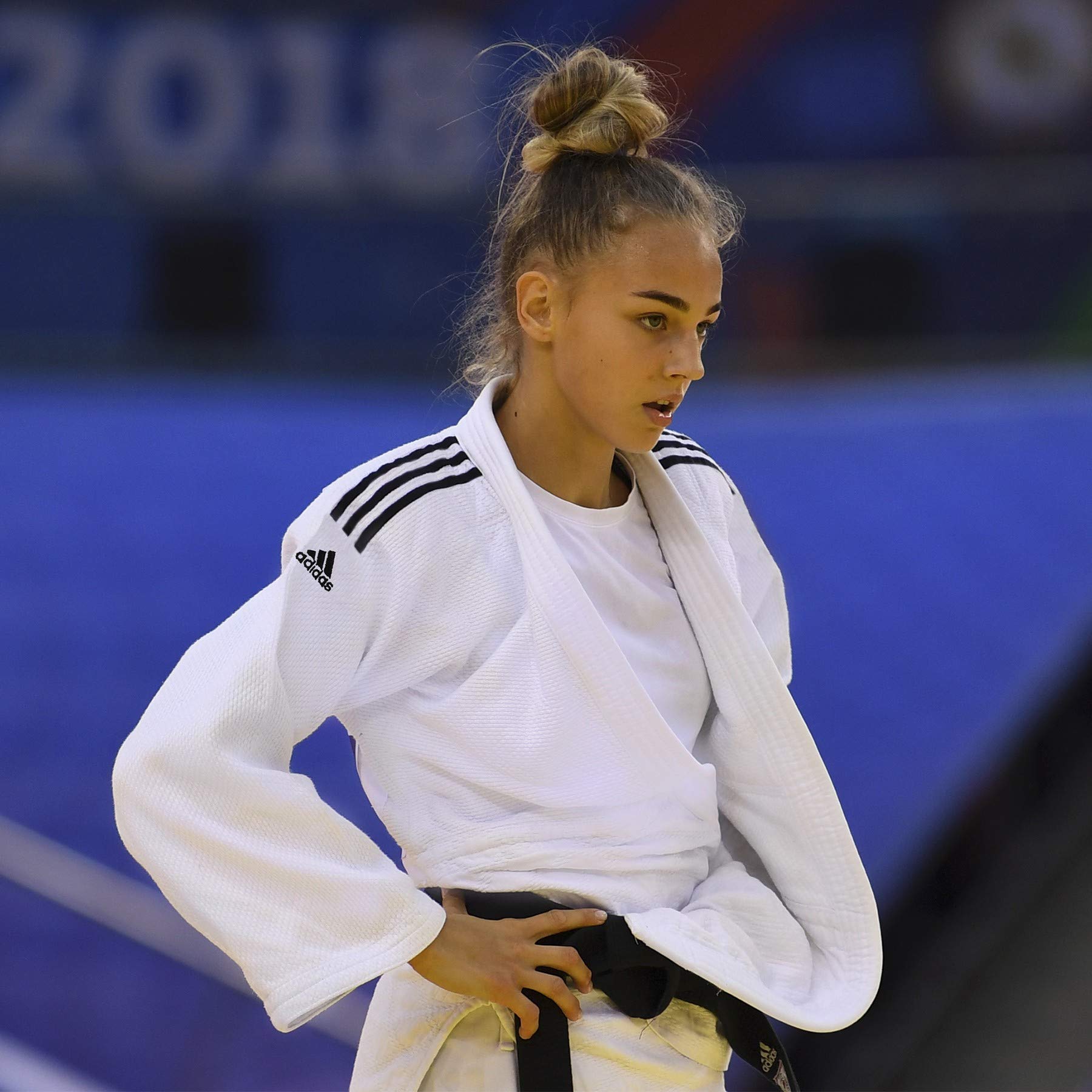 adidas Champion II-IJF Judo Kimono, Blau