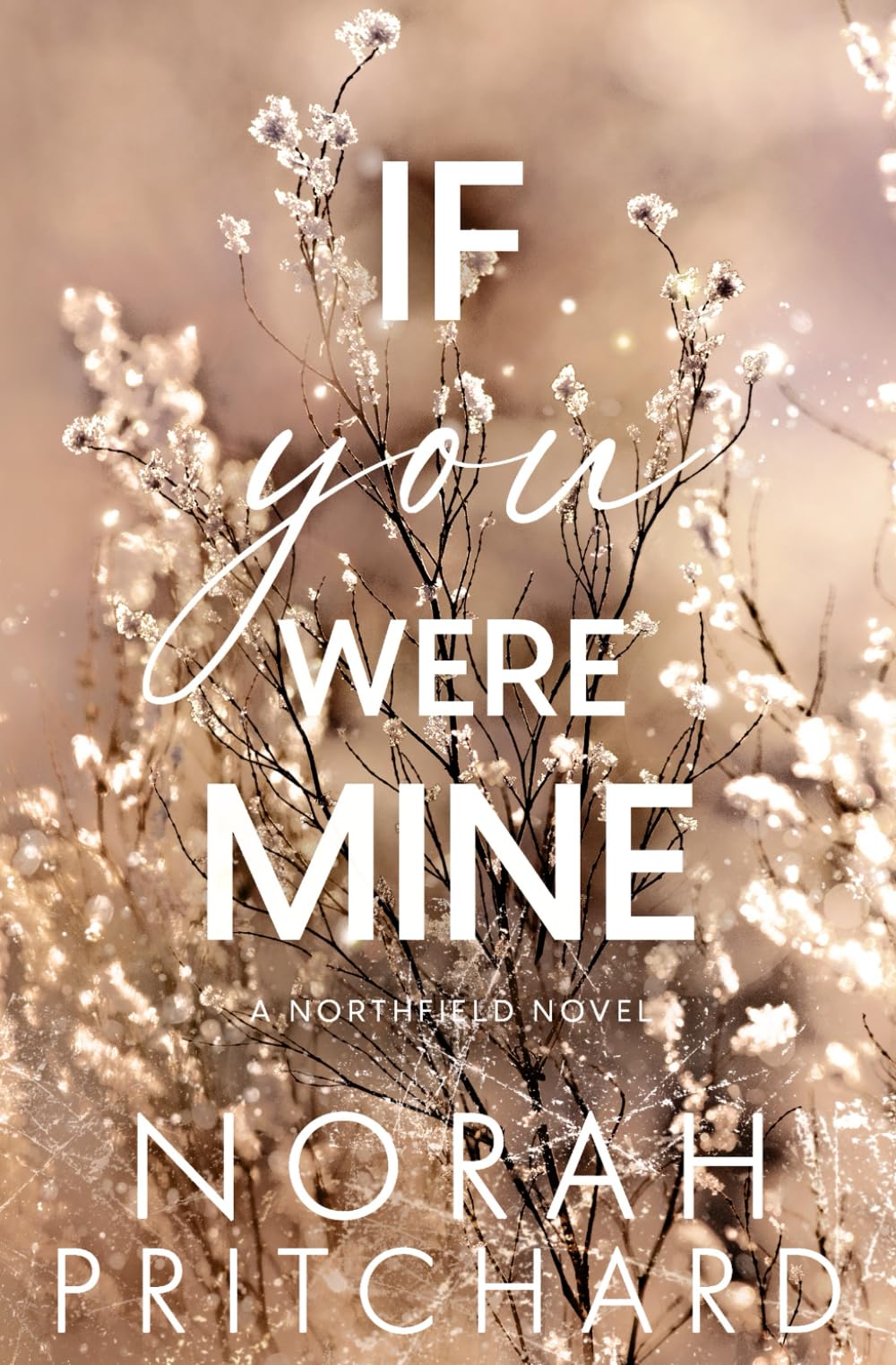 If You Were Mine: A Steamy Grumpy-Sunshine, Runaway Bride, Small-Town Christmas Romance: 3 (Northfield Series)