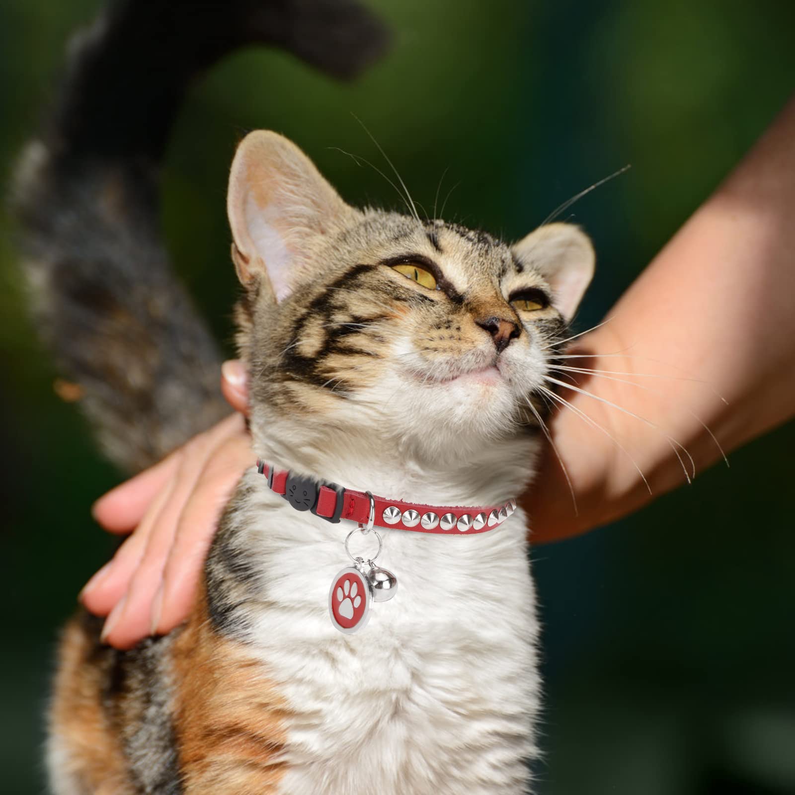 Diy Collars Easy Release Cat Collar Leather Personalized Breakaway