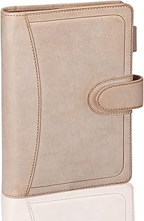 レイメイ藤井 システム手帳 ダヴィンチ ロロマクラシック ロロマホック 限定 聖書サイズ 24mmリング 本革 アージェント DB1412AG