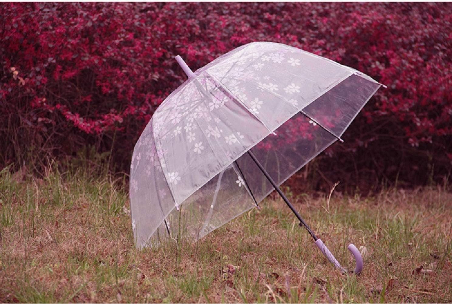 Transparent Bubble Umbrella Transparent Fashion Dome Automatic Handle Bird Cage Windproof Wedding Decoration Umbrella (Purple)