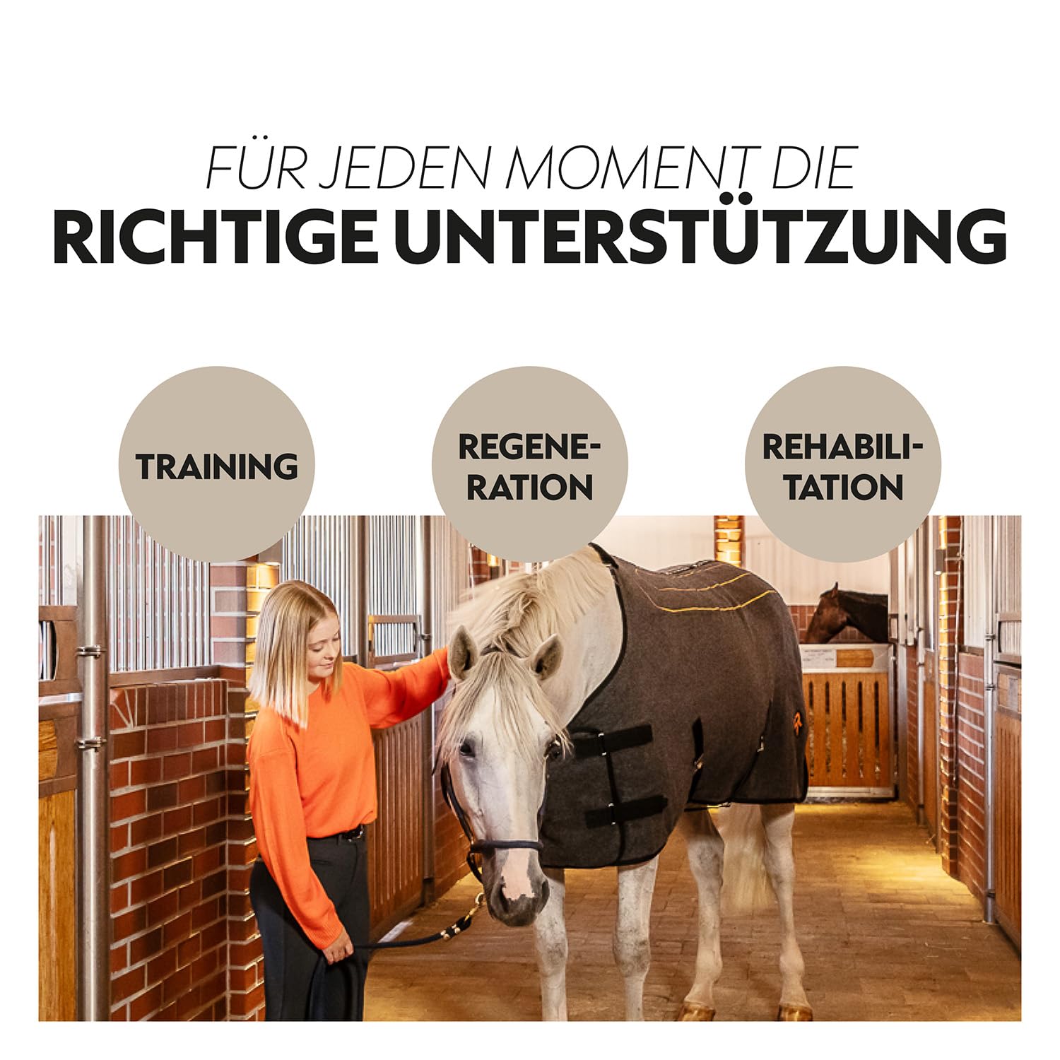 SUNRIDE Heizdecke für Pferde - Therapiedecke - 3 Wärmestufen - effektive Kontaktwärme - Premium Wolle - isolierter Rückenbereich - mit Eremit Akku und Ladekabel - unterstützt PSSM und MIM (165cm)