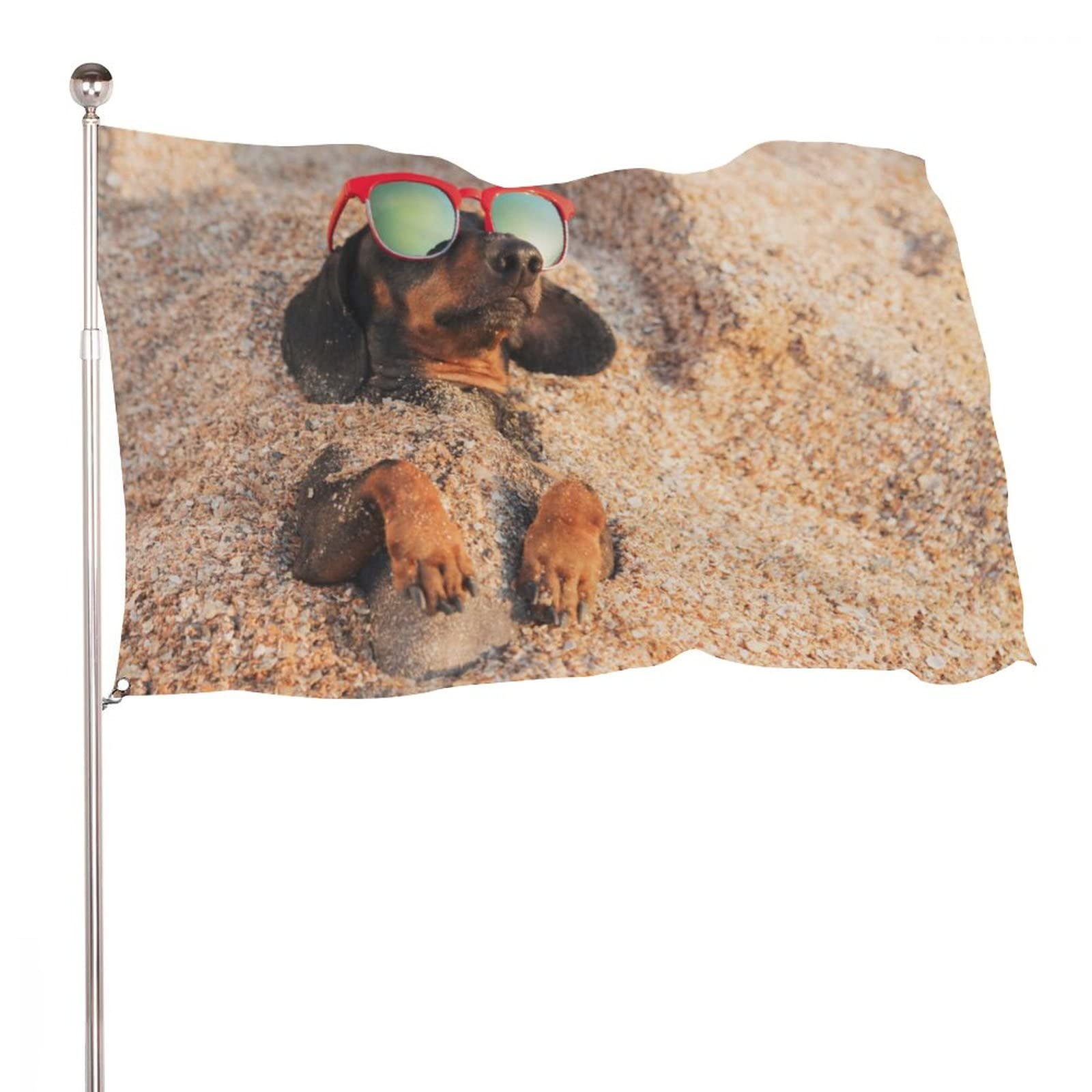 Decorative Garden Flag Yard Banner, Cute Dachshund Dog Enjoy Holiday Print, All Seasons Holiday Welcome Yard Flag Lawn Hanging Decor 2x3ft -(60x90cm)