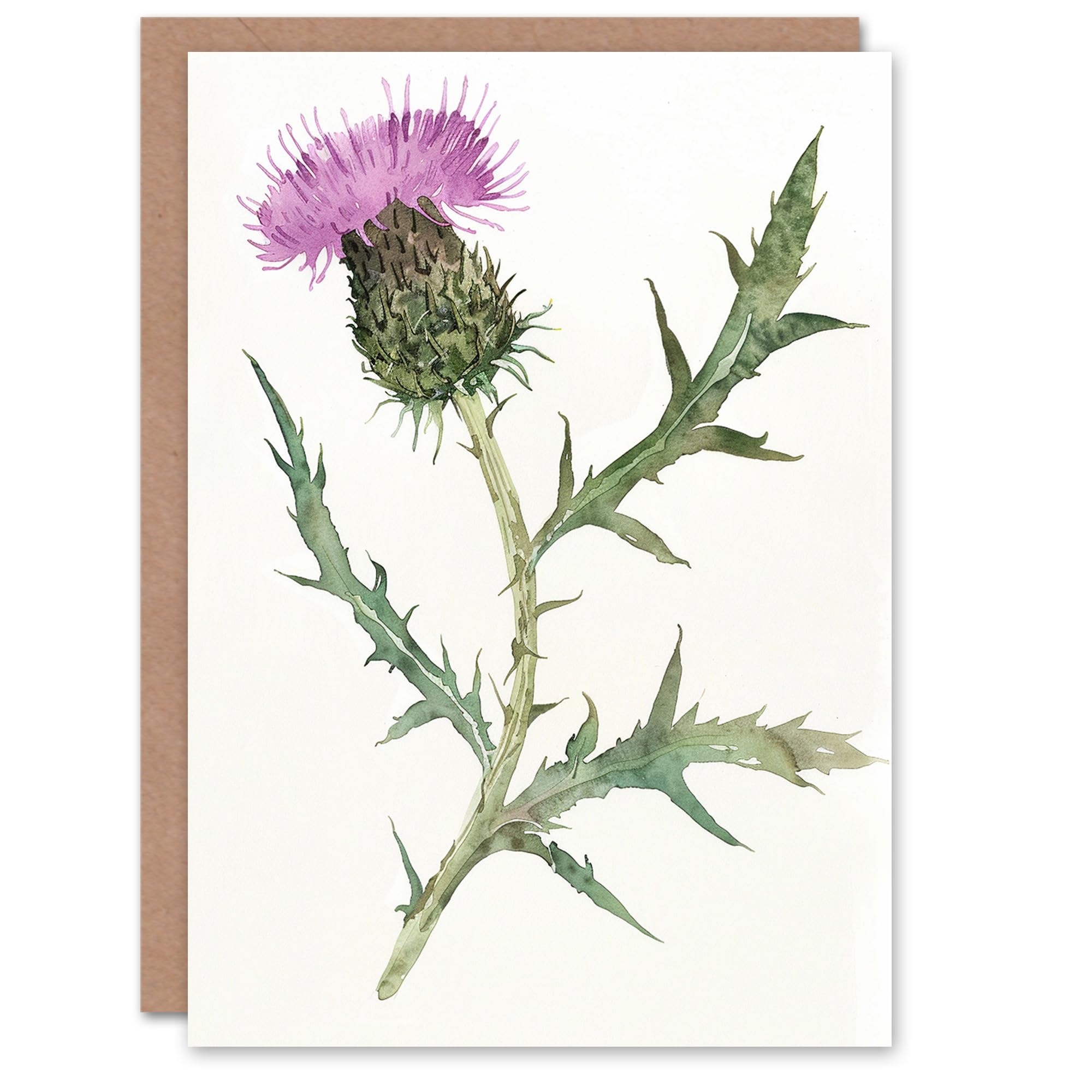 Artery8 Single Scottish Thistle Flower Bloom Watercolour Blank For Him Or Her Art Sympathy Card