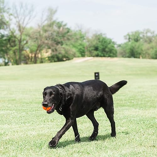 Vista 7 de Chuckit! Pelota de tenis para perros juguete para perros, mediana (2.5 pulgadas de diámetro) para perros de 20 a 60 libras, paquete de 4