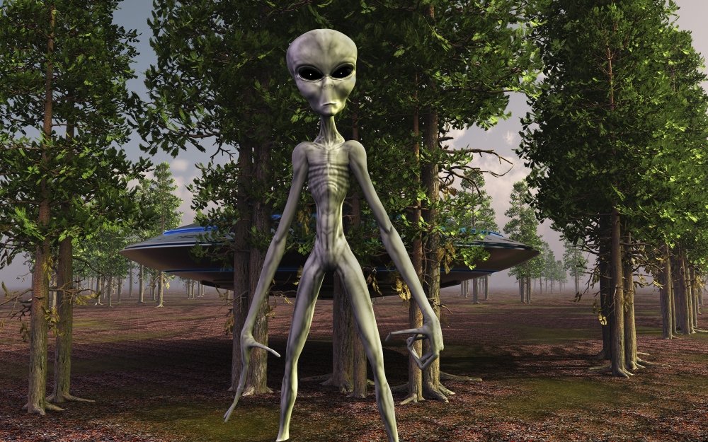 Amazon.com: A menacaing grey alien and its spacecraft in a