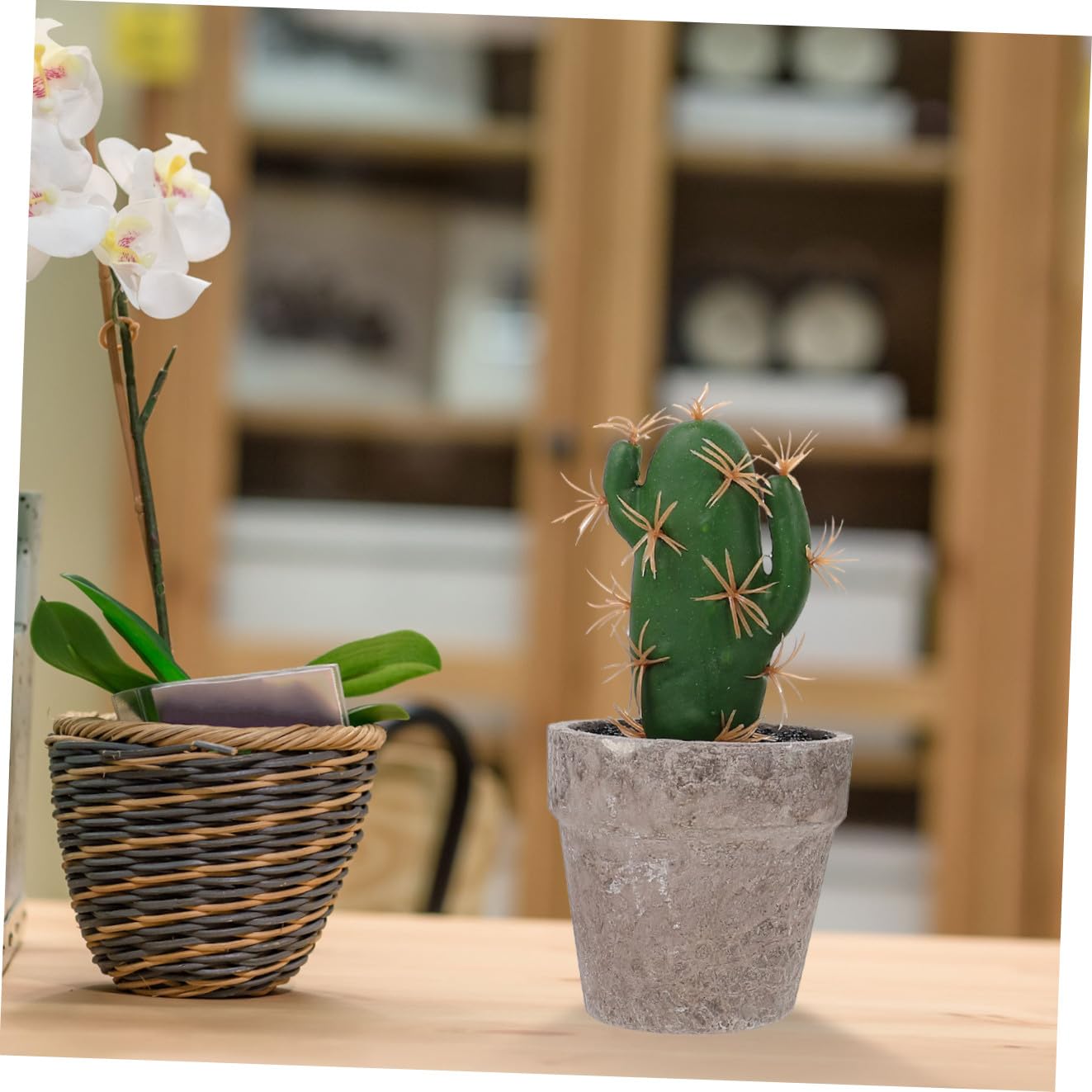 GLEAVI Set 4pz Piante Grasse Finte in Plastica e Polpa, Decorazione da Scrivania per Ufficio e Cucina, Aspetto Vero e Naturale, Facilità di Cura e Atmosfera Fresca