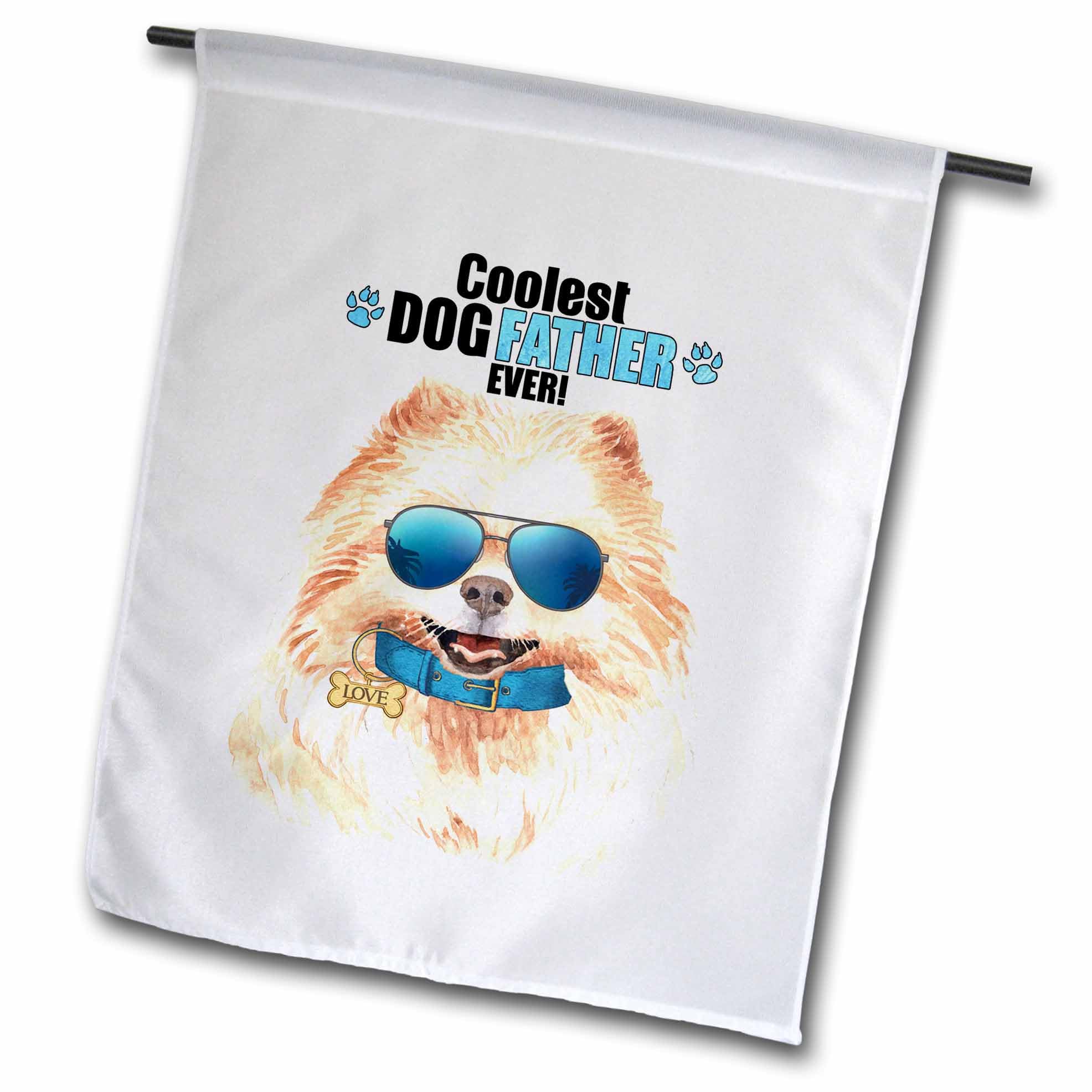 3dRose Cute Pomeranian Dog Looking Cool in Sunglasses for Fathers Day - Flags (fl-381611-1)