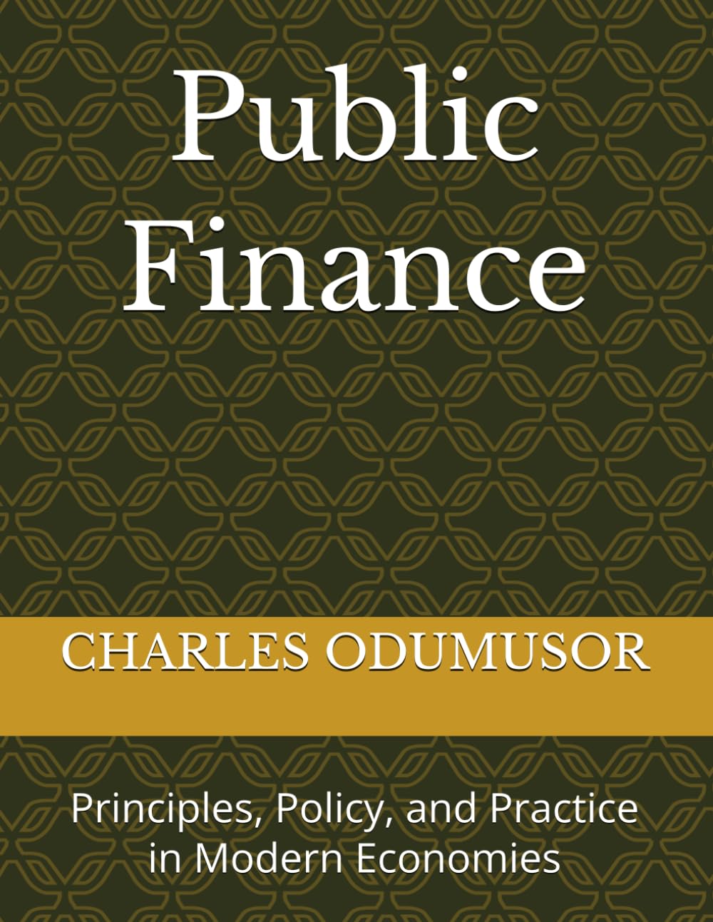 Public Finance: Principles, Policy, and Practice in Modern Economies