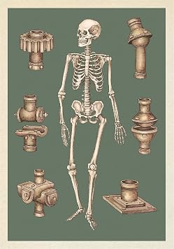 Anatomicum Postcard Box