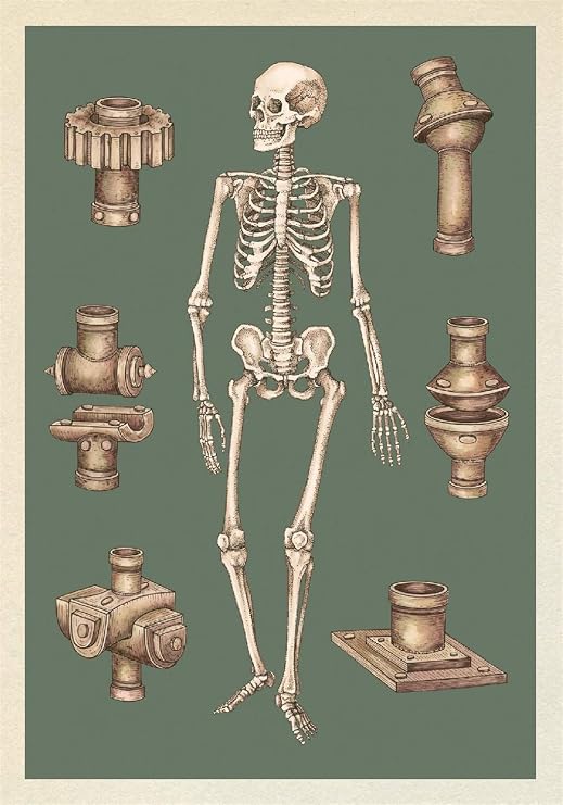 Anatomicum Postcard Box