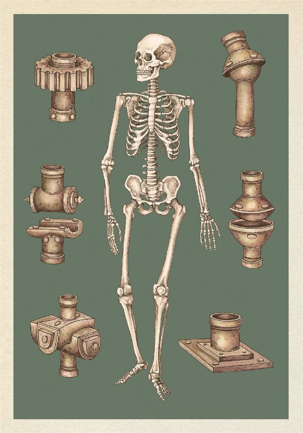 Anatomicum Postcard Box: by Katie Scott