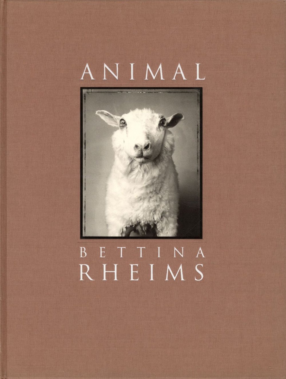 Animal