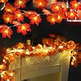 TURNMEON 2 Pack Fall Decor Enlarged Maples Leafed Lights Total 20Ft 40LED Thanksgiving Halloween Fall Decorations for Home,Battery Operated Autumn Garland Waterproof Indoor Outdoor Holiday Christmas
