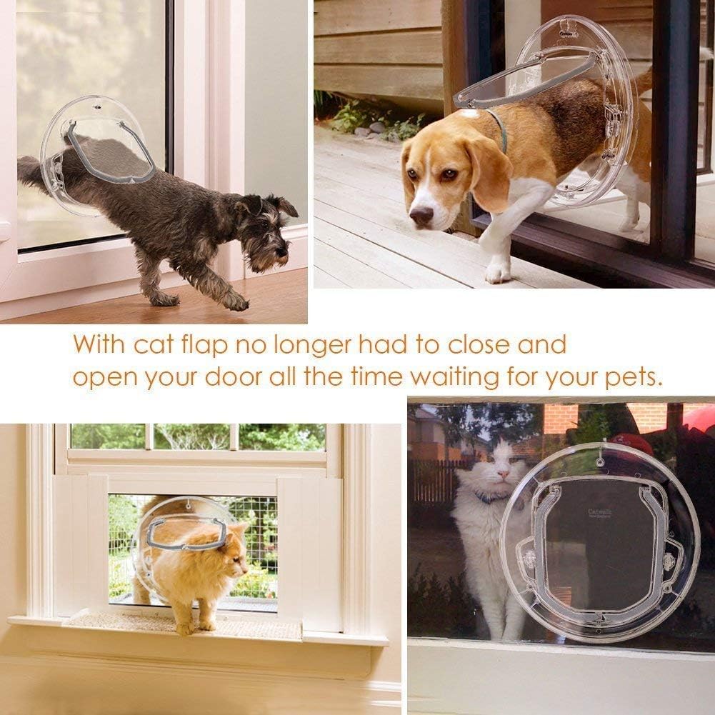 glass gate for dogs