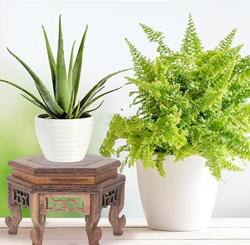 Miniatura 8 de Soporte para plantas pequeñas, soporte de madera para plantas de interior de mediados de siglo, mesa resistente para plantas, soporte redondo para