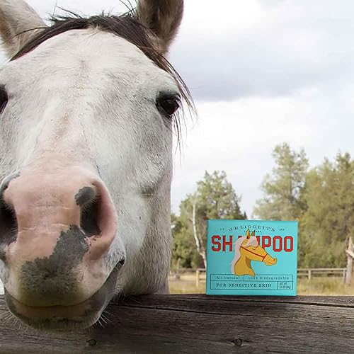 Miniatura 7 de JRLIGGETT'S Champú para el pelo de mascotas ideal para pieles sensibles  Alivia la piel seca y con picazón  Fórmula hipoalergénica y biodegradable