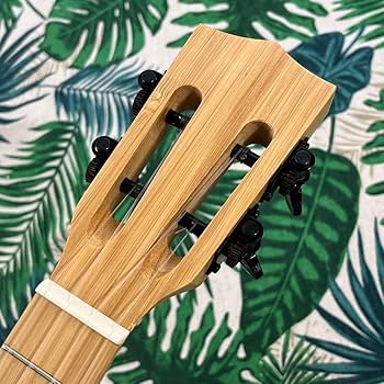 【Andrew】オールバンブー(竹材)のコンサートウクレレ【ウクレレ専門店】 Amazon.co.jp: Andrew ukulele オールバンブー 竹 のエレキ