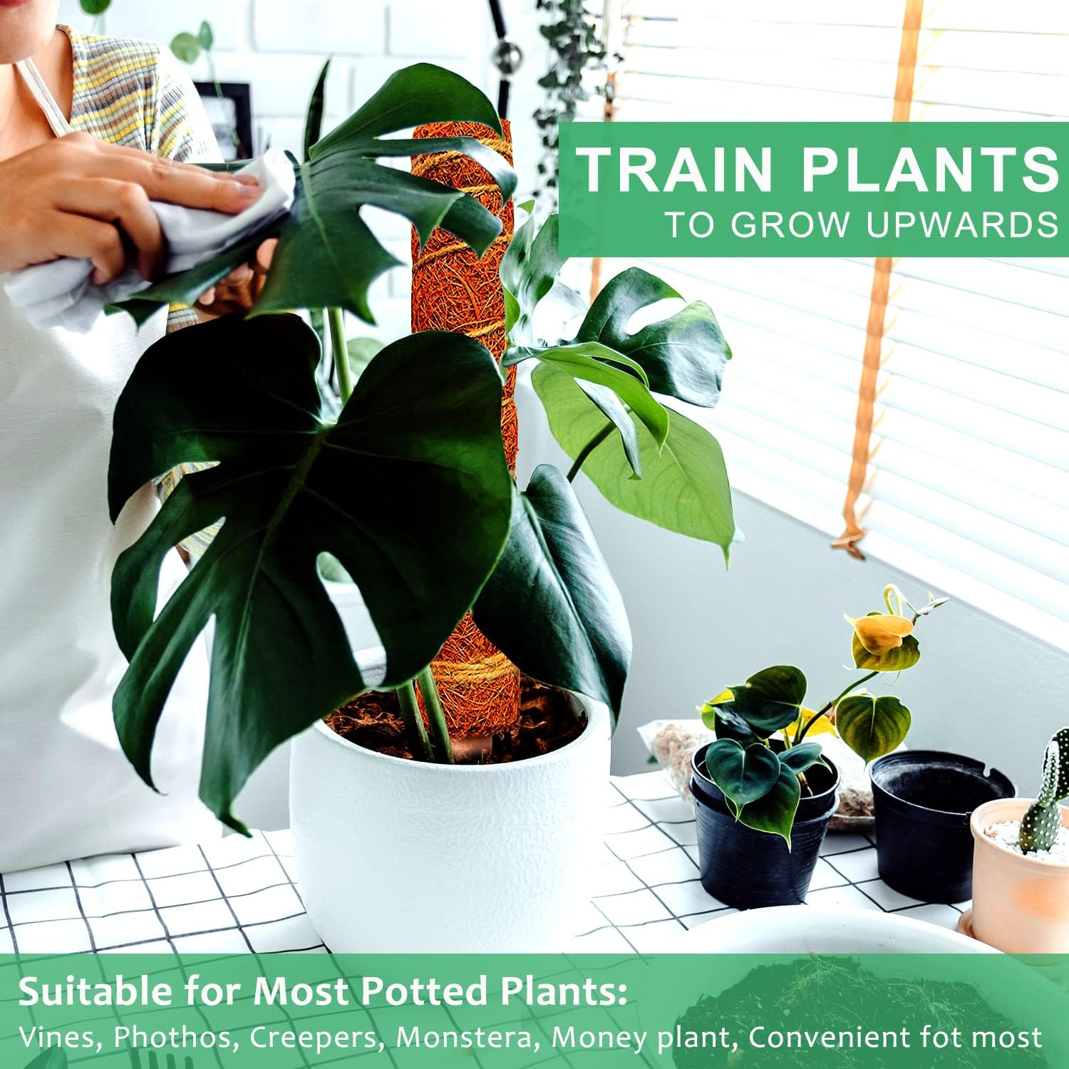 OKKBgo 26.4 Inch Moss Pole for Plants Monstera, 2 Pack 15.7 Inches Coco Plant Pole for Climbing Indoor Potted Plants, Train Monstera Philodendron Pothos Creeper Plants Grow