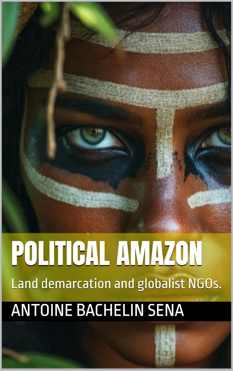 Political Amazon: Land demarcation and globalist NGOs.