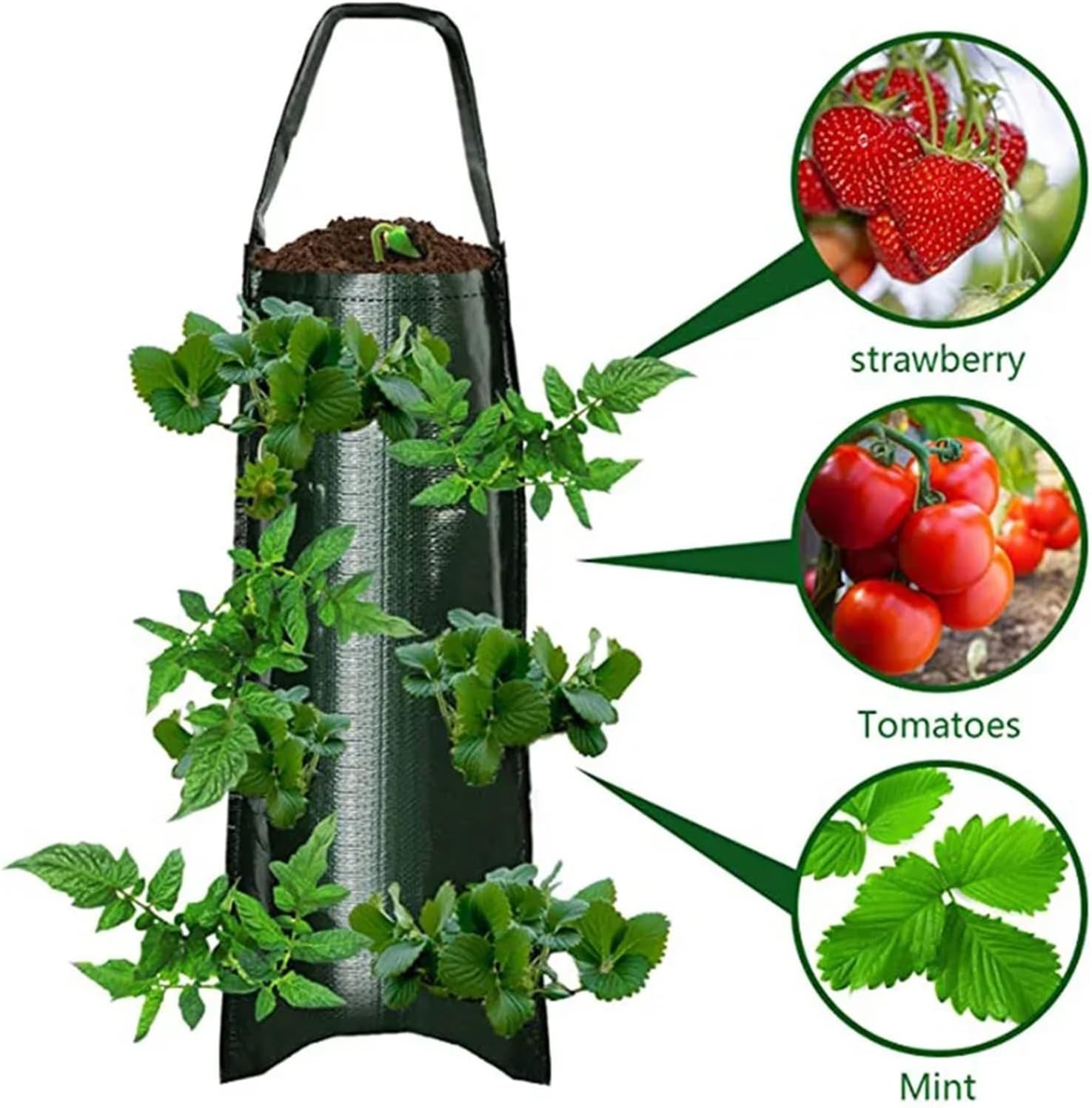 Multi-Function Hanging Strawberry Grow Bag Upside Down Planter Tomato Potato Vegetable Flower Plant Grow Bags Garden Decoration(Black)