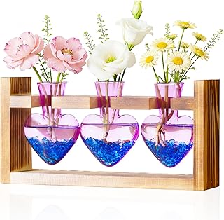 Nacome Plant Terrarium Propagation Stations: Valentines Day Gifts for He...
