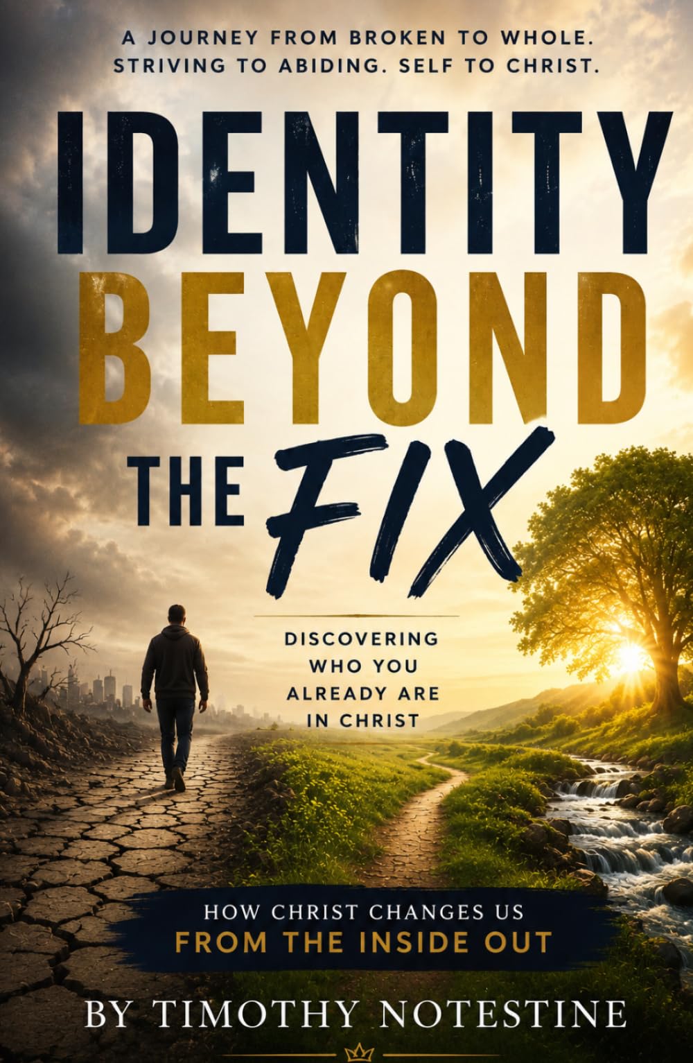 Identity Beyond the Fix: Discovering Who You are Already in Christ (Beyond Identity Series)