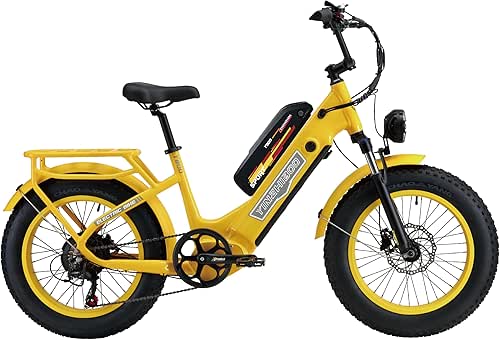 Electric Bike for Adults,750w Ebike for Adults 20MPH, 60V 25AH