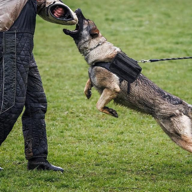 Foto 8 de 8 de MiOYOOW Bolsa de arnés para Perro, Chaleco Molle de Nailon 1000D, Mochila Ligera para sillín de Mascotas
