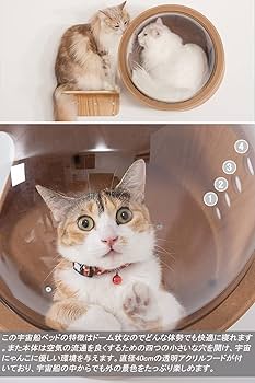 置物 catwalk Amazon.co.jp: Cat Step, Catwalk, Cat Wall Shelf Set, Large