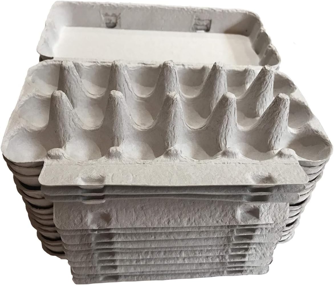 MISTERCAILLE Cardboard Boxes for Egg Quail โ Pack of 20