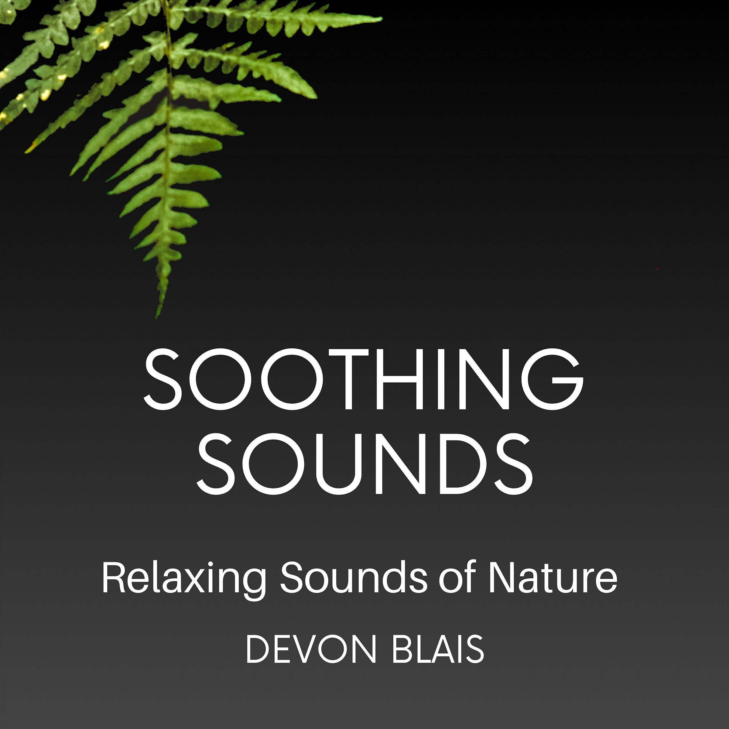 Cover art for Soothing Sounds