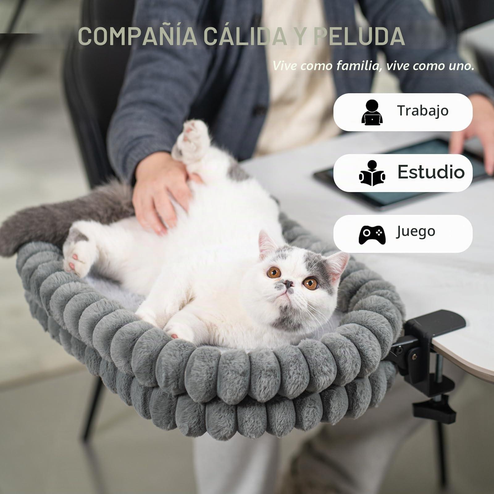 CheerPals Cama para gatos, plegable 90°, cama de mesa B01402L