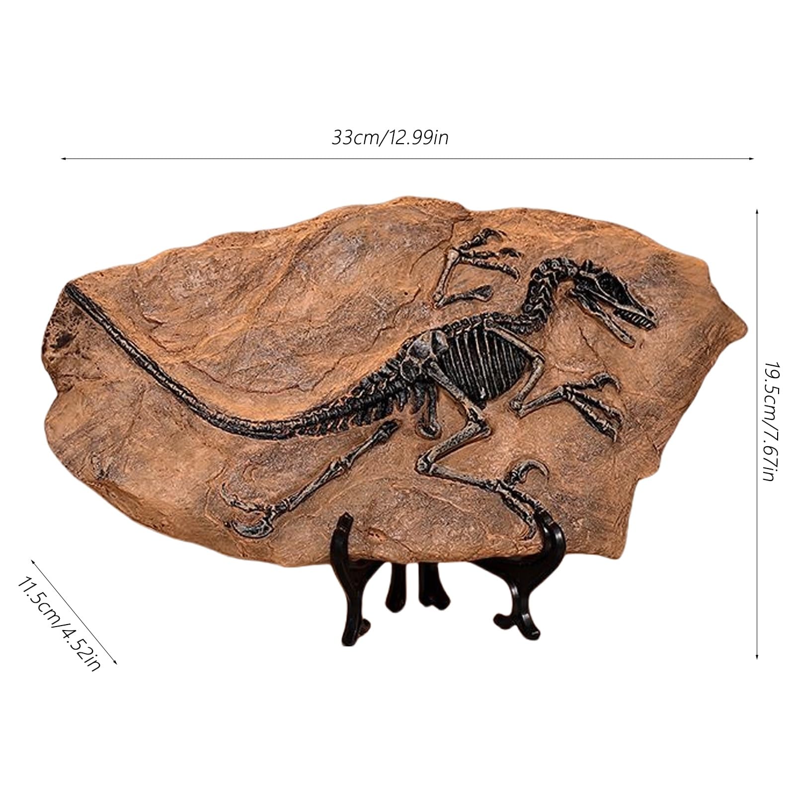 Estatua de fósil de Dinosaurio, Figuras de fósil de Dinosaurio Tyrannosaurus Rex de Resina, Escultura de paleontología Retro, Adornos creativos de artesanía de Resina, Modelo de Esqueleto(A)