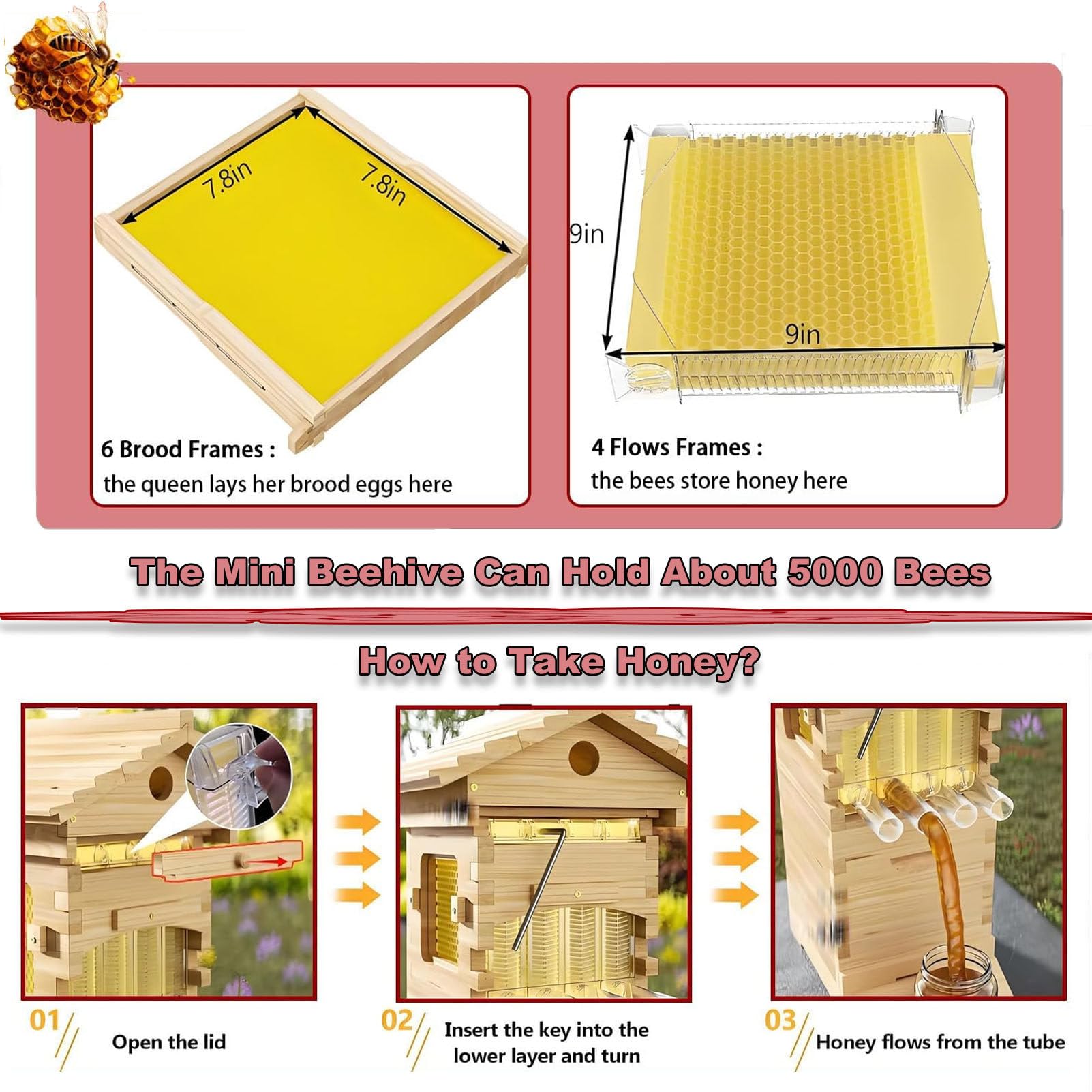 Imker-Starterset, Flow Hive Bienenstock, komplettes, wachsüberzogenes Bienenstock-Set mit Honigschleuder, Keine Störung der Bienen nötig, geeignet für Anfänger