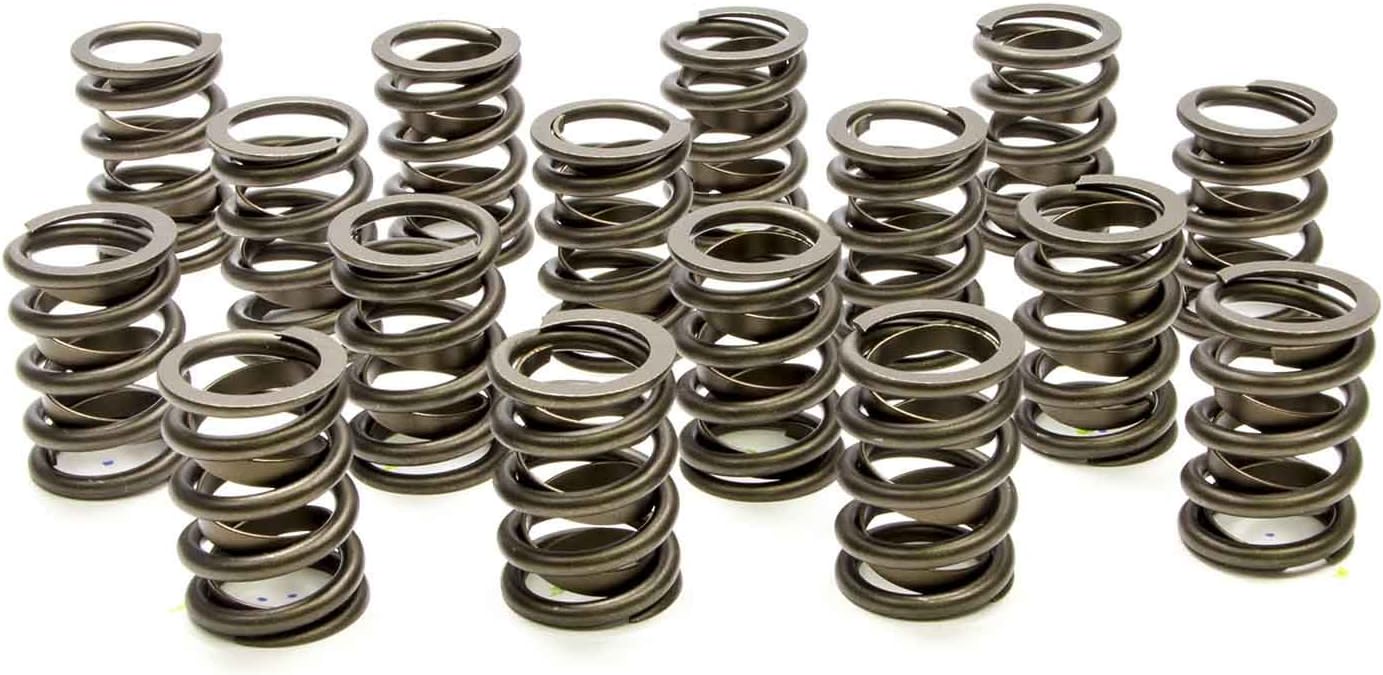 Amazon.com: PAC Racing Springs PAC-1900 Valve Spring : Automotive