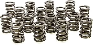 Amazon.com: PAC Racing Springs PAC-1900 Valve Spring : Automotive