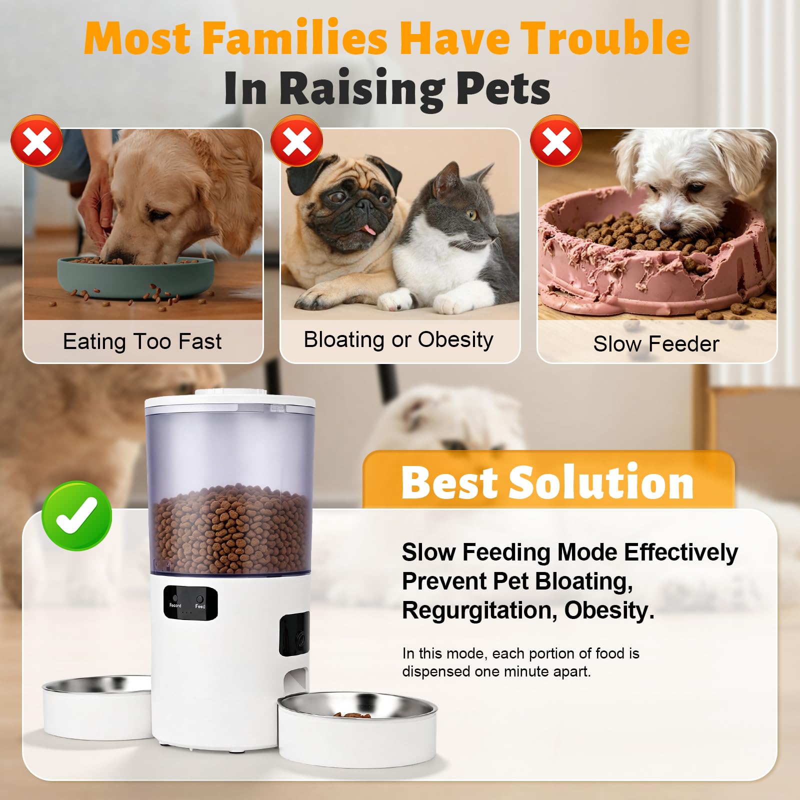 Podazz Comedero automático para gatos con doble cuenco, capacidad de 5 litros, 2 cámaras, WiFi, para 2 gatos o perros pequeños, control de aplicación de 2,4 GHz y 5 GHz, 20 comidas al día, porciones