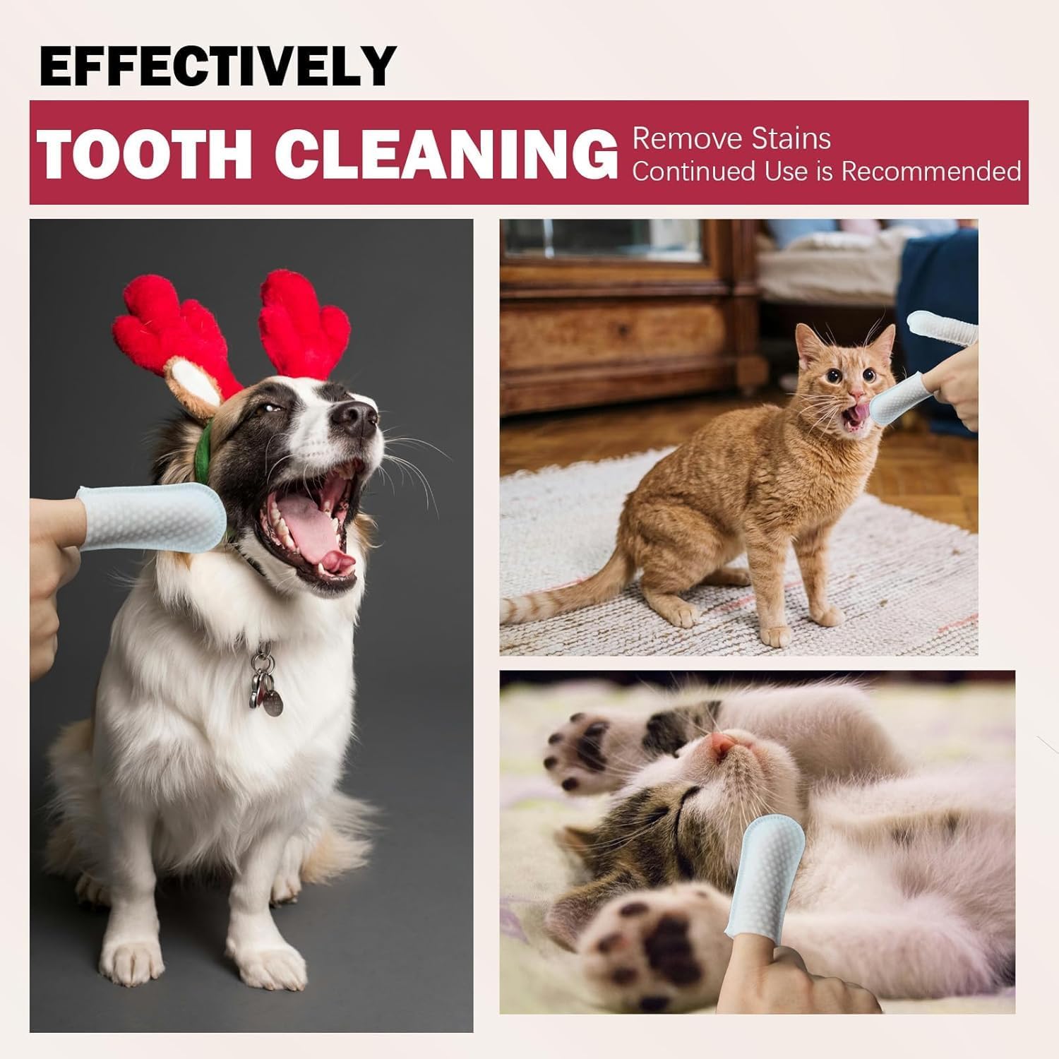 JBPV Dog Dental Care Finger Wipes | Teeth Cleaning Wipes for Dogs & Cats | Easy-to-Use Tooth Brushing Kit for Pets | Gentle Dental Wipes for Fresh Breath & Healthy Gums (Pack of 1) 1