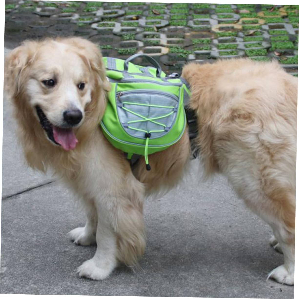 WOONEKY Dog Saddlebag Backpack Pet Travel Bag Harness Sturdy Oxford Material Portable Dog Camping Gear