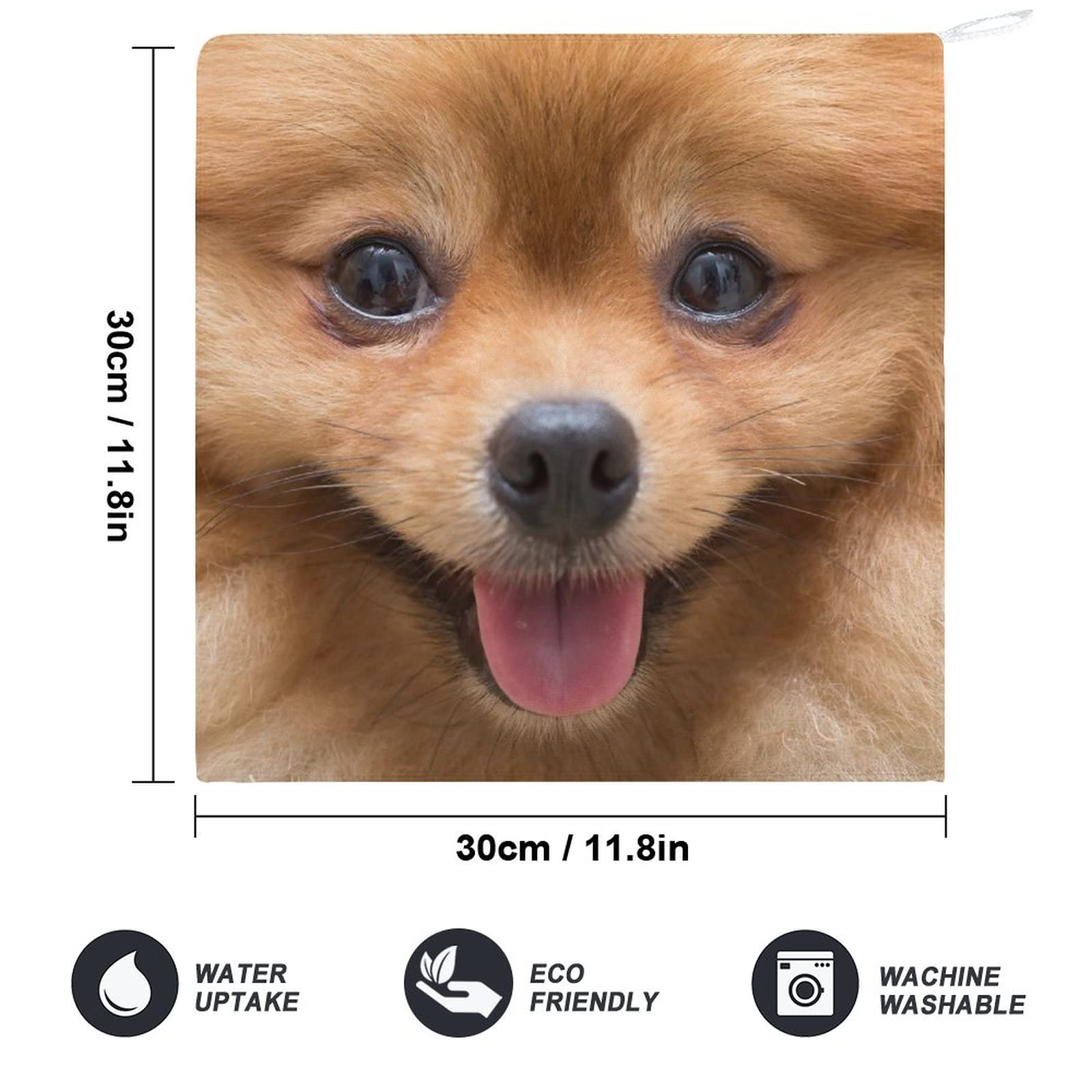 Amazon｜かわいいポメラニアン犬 タオルかわいい ハンカチハンドタオル