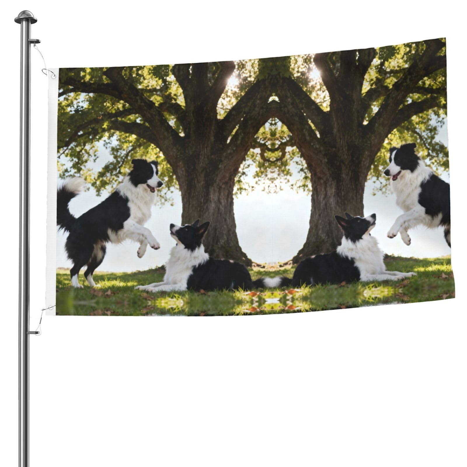 Drapeau double face anti-décoloration en polyester pour remplacer les décorations de jardin ternies