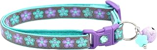 Floral Cat Collar with Charm & Bell | Safety Breakaway| Adjustable Large Size or Kitten Collar (Purple Daisies on Grey, Large Cat(10lbs & Up))