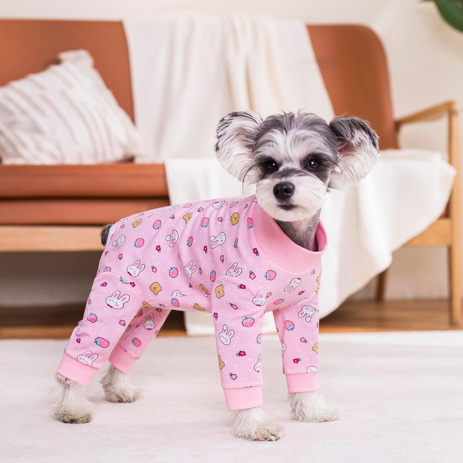 Pink Dog Recovery Suit Female Male for Small Medium Dogs,Dog Surgical Recovery Suite Bodysuit After Surgery Zipper On Back Puppy Cat Long Sleeve Onesies Bodysuit After Surgery Wound Protective