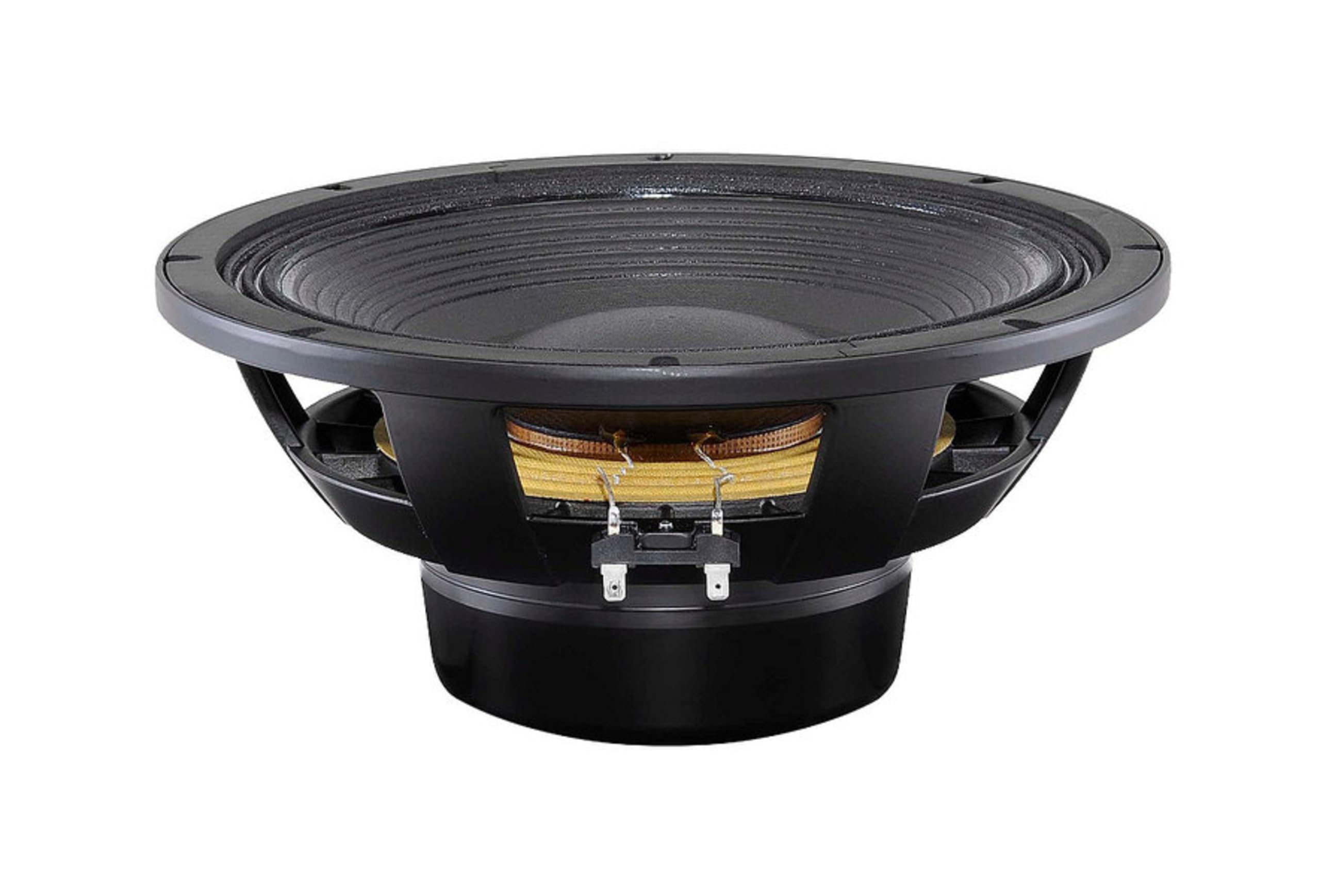 Amazon.com: B&C Speakers 12NBX100-8 LF Driver 12-inch NEO