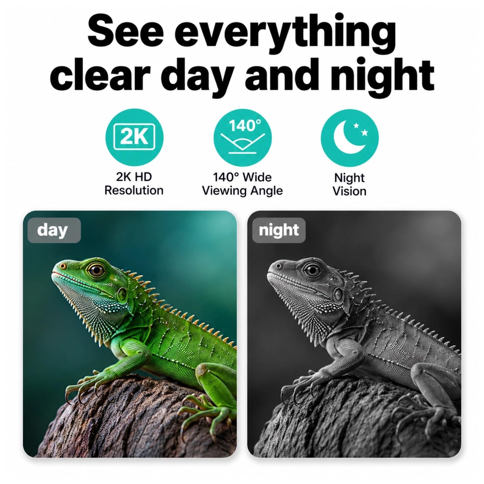 Cuifati Telecamera per acquario e terrario da 2 MP 2K, antiriflesso, senza foratura, per finestre, con rilevamento umano, Wi-Fi, visione notturna e registrazione 24 ore su 24, 7 giorni su 7