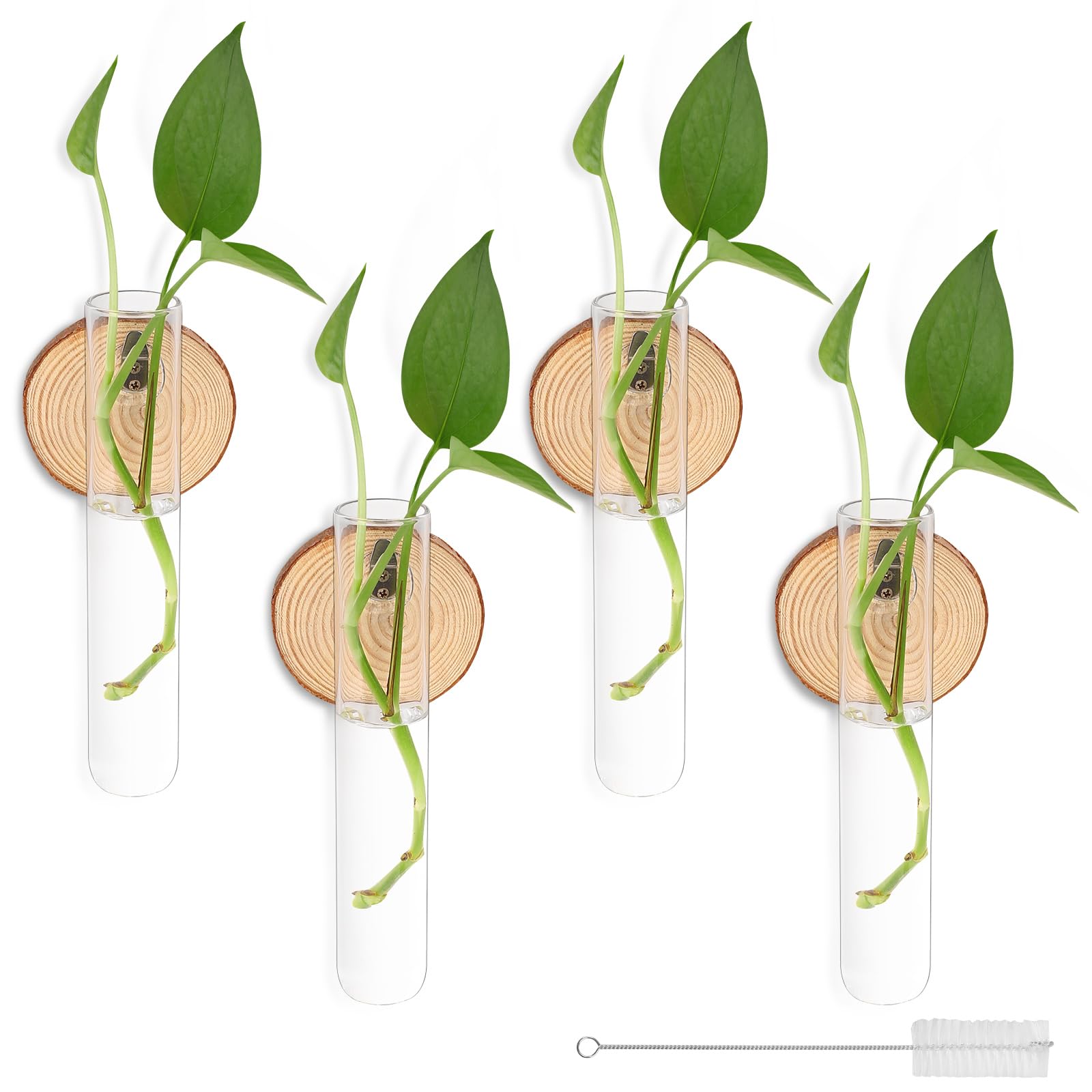 6 Reagenzgläser Mit Holzständer – Blumenvase & Pflanzen-Vermehrungsstation, Transparentes Glas, Inkl. Bürste
