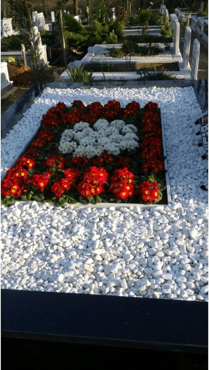 Asenya Mezar Taşı 11 Kg 2-4 Cm Beyaz Dolomit Taş Dere Çakıl Taşı Bahçe Süs Taşı Mezar Süsleme Taşı