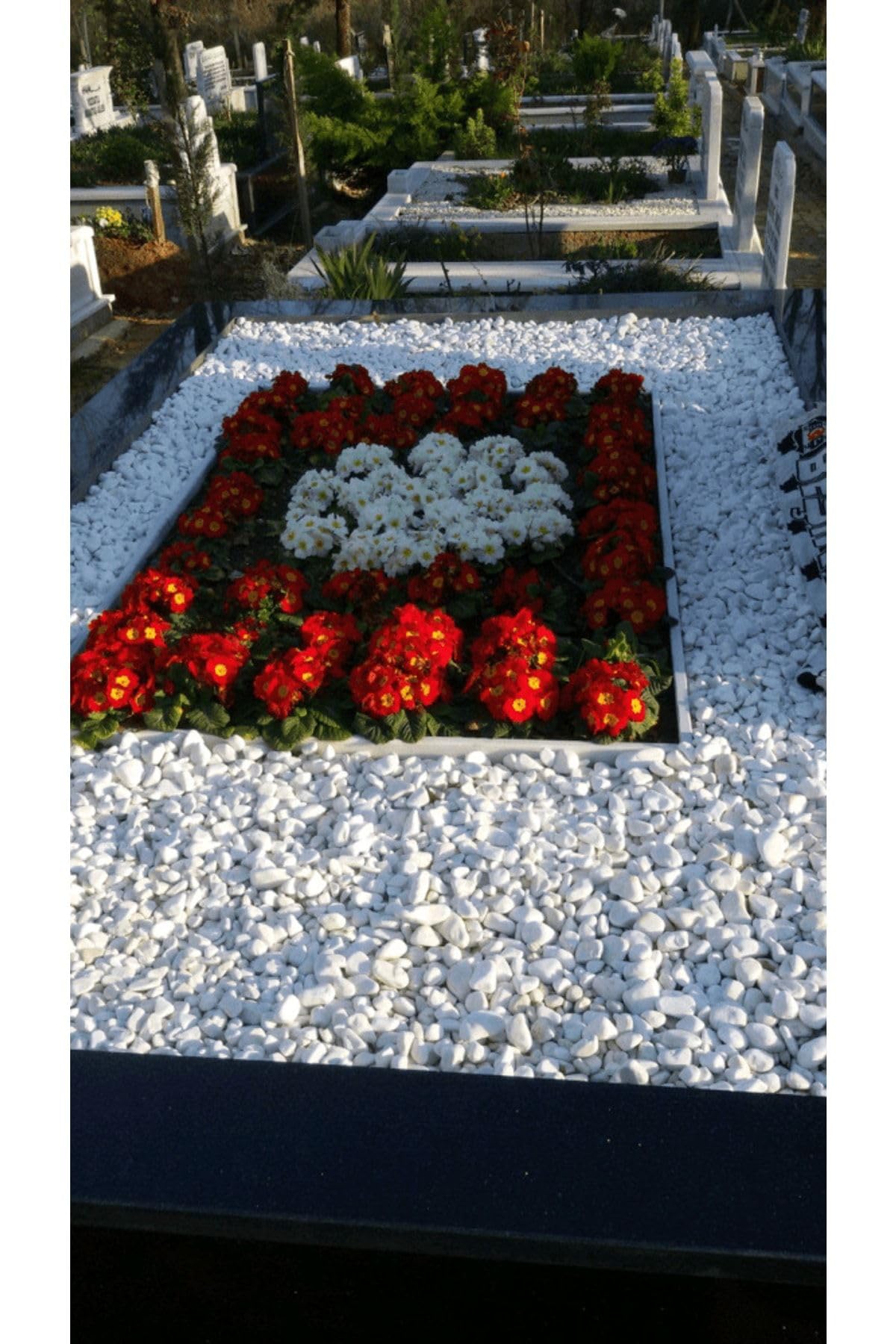 Asenya Mezar Taşı 5 Kg 2-4 Cm Beyaz Dolomit Taş Dere Çakıl Taşı Bahçe Süs Taşı Mezar Süsleme Taşı